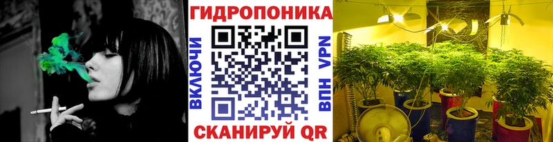 mega сайт закладки Хасавюрт Бошки марихуана планчик